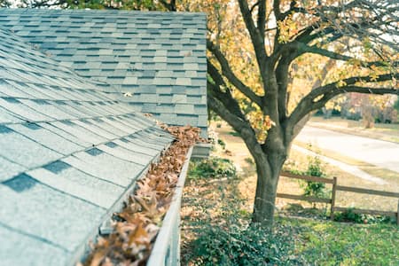 Gutter Cleaning